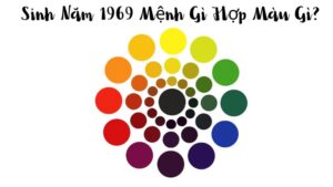 Sinh Năm 1969 Mệnh Gì Hợp Màu Gì? Khám Phá Tính Cách và Sự Nghiệp